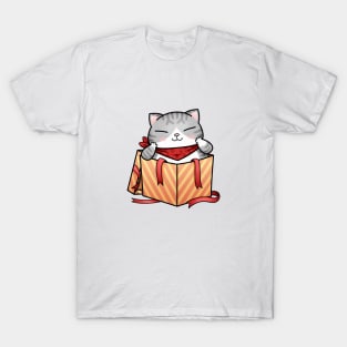 Cat Gift Box T-Shirt